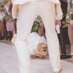 ヴィラ・デ・マリアージュ 太田の写真19枚目