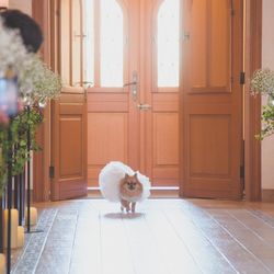 ヴィラ・デ・マリアージュ 太田の写真26枚目