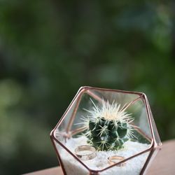 TRUNK HOTELの写真8枚目