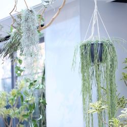 TRUNK HOTELの写真20枚目