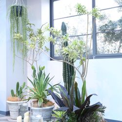 TRUNK HOTELの写真20枚目