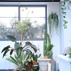 TRUNK HOTELの写真5枚目