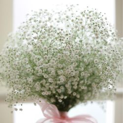 ハートコート横浜の写真20枚目