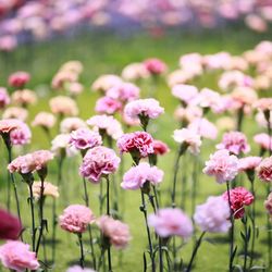 グランド ハイアット 東京の写真2枚目