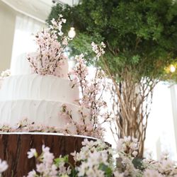 ヴィラ・アンジェリカの写真21枚目