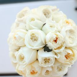 ルミヴェール東京の写真1枚目