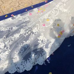 アニヴェルセル 豊洲の写真19枚目