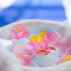 アニヴェルセル 豊洲の写真34枚目