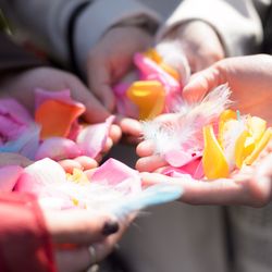 アニヴェルセル 豊洲の写真36枚目