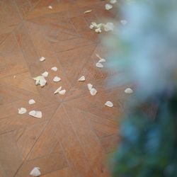 BAYSIDE GEIHINKAN VERANDA minatomiraiの写真32枚目