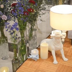 ララシャンスベルアミー 鳥栖の写真20枚目