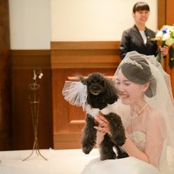 ララシャンスベルアミー 鳥栖の写真11枚目