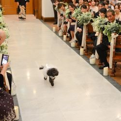 ララシャンスベルアミー 鳥栖の写真8枚目