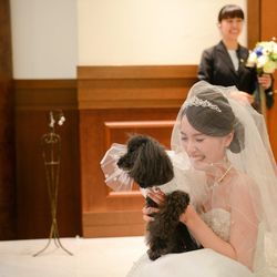 ララシャンスベルアミー 鳥栖の写真11枚目