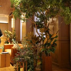 TRUNK HOTELの写真33枚目