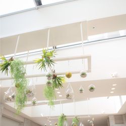 ザ・テラス バイ・ザ・シー　ナウパカチャペルの写真3枚目