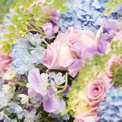 伊勢山ヒルズの写真29枚目