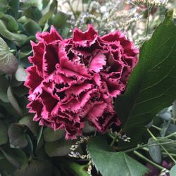 ザ・リッツ・カールトン東京の写真27枚目