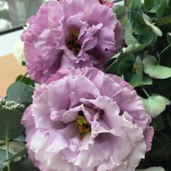 ザ・リッツ・カールトン東京の写真16枚目