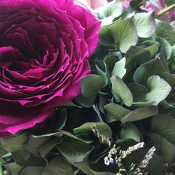 ザ・リッツ・カールトン東京の写真32枚目