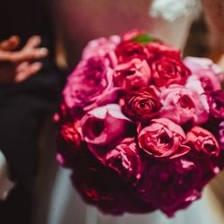 赤坂プリンス クラシックハウスの写真10枚目