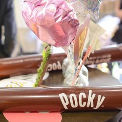 ララシャンスベルアミー 鳥栖の写真32枚目