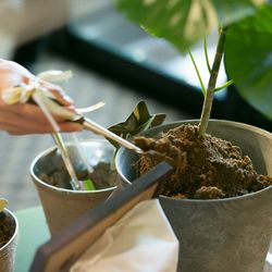 ザ・ガーデンオリエンタル大阪の写真12枚目