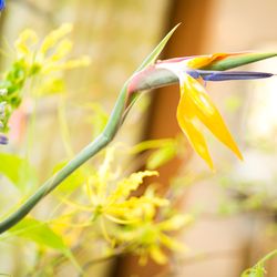 ザ・ガーデンオリエンタル大阪の写真23枚目