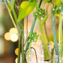 ザ・ガーデンオリエンタル大阪の写真7枚目