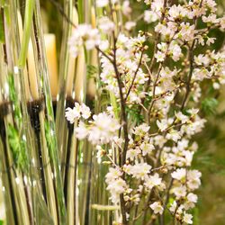 ザ・ガーデンオリエンタル大阪の写真19枚目