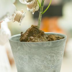 ザ・ガーデンオリエンタル大阪の写真14枚目