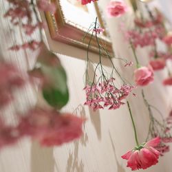 カーサ・フェリスの写真33枚目