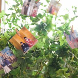 ザ ランドマークスクエアトーキョーの写真3枚目