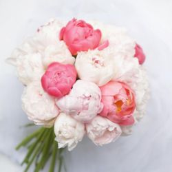 ザ ランドマークスクエアトーキョーの写真35枚目