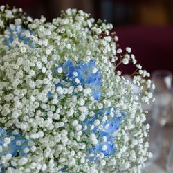 ザ ランドマークスクエアトーキョーの写真12枚目