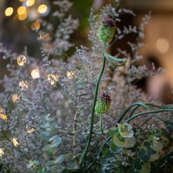 ザ・ガーデンオリエンタル大阪の写真18枚目