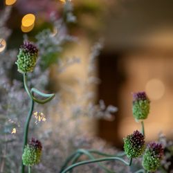 ザ・ガーデンオリエンタル大阪の写真29枚目