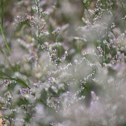 ザ・ガーデンオリエンタル大阪の写真19枚目