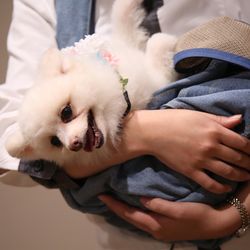 TRUNK HOTELの写真36枚目