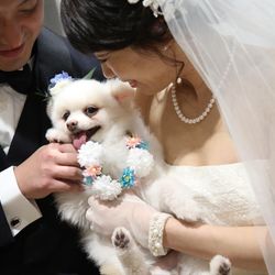 TRUNK HOTELの写真18枚目