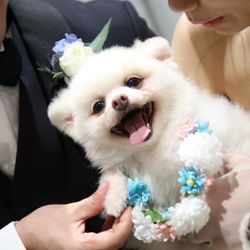 TRUNK HOTELの写真18枚目