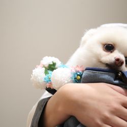 TRUNK HOTELの写真27枚目