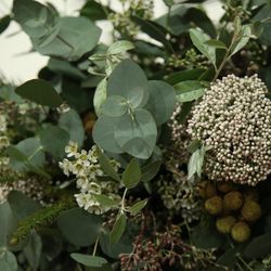 TRUNK HOTELの写真31枚目