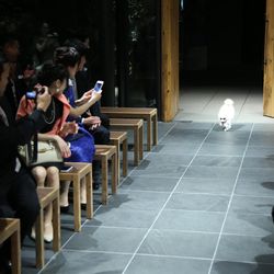 TRUNK HOTELの写真21枚目