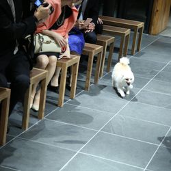 TRUNK HOTELの写真2枚目