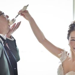 TRUNK BY SHOTO GALLERYの写真17枚目