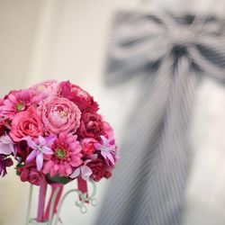 ブルーアステールの写真34枚目