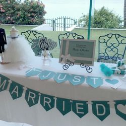 ブルーアステールの写真3枚目