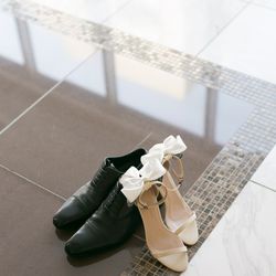 ブルーアステールの写真24枚目