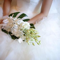 ブルーアステールの写真15枚目